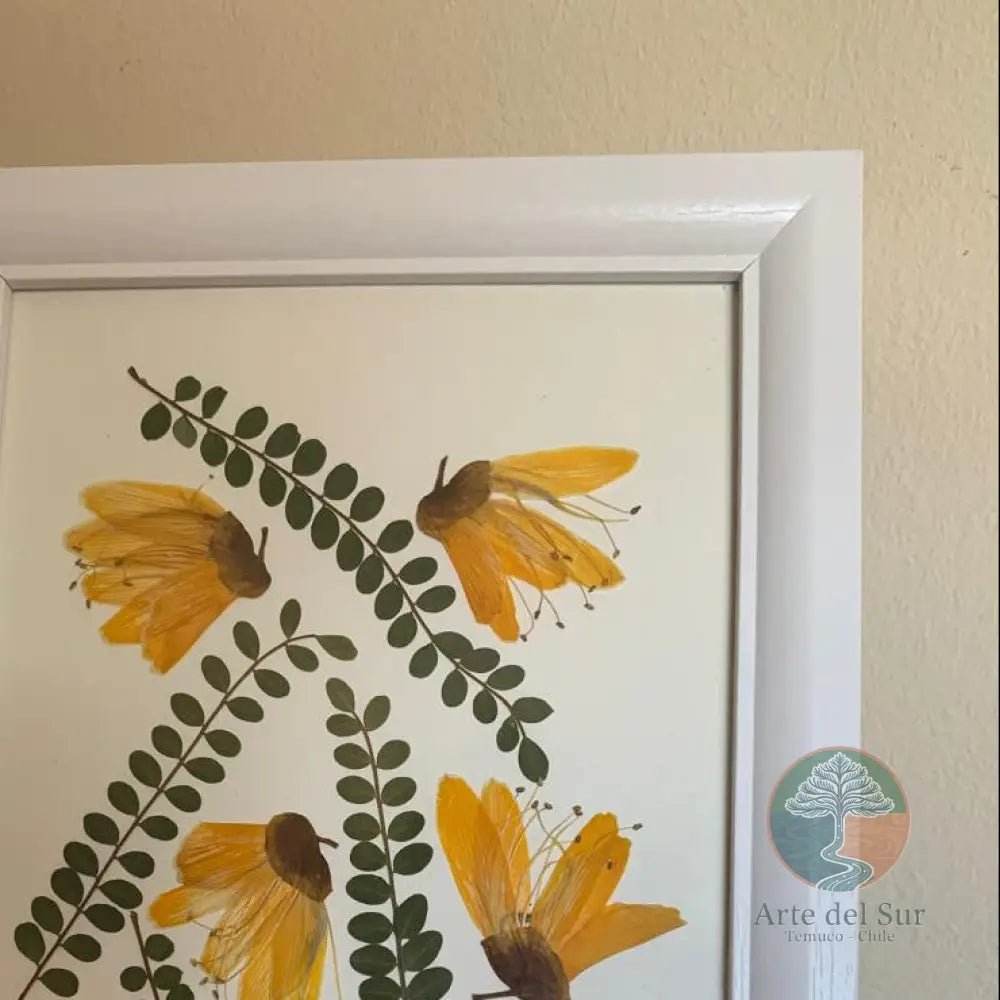 Cuadro Decorativo Flores Prensadas "Pelú" - Arte del Sur