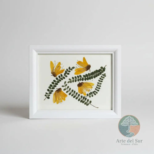 Cuadro Decorativo Flores Prensadas "Pelú" - Arte del Sur