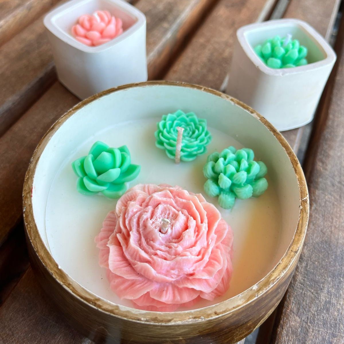 Set Terrario + 2 Suculentas - Arte del Sur